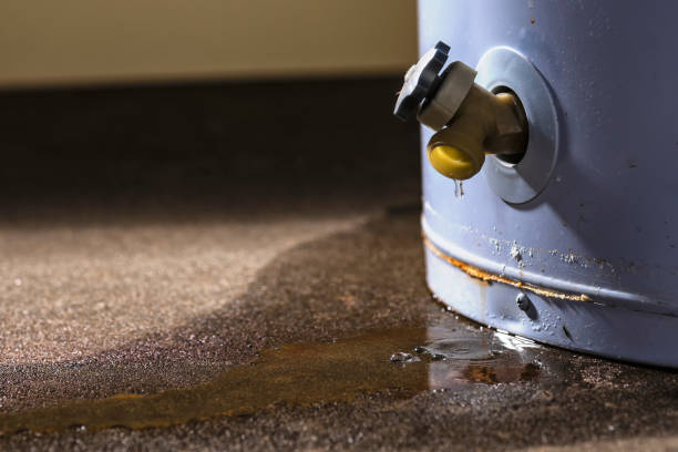 Best Basement water damage restoration  in Shiner, TX