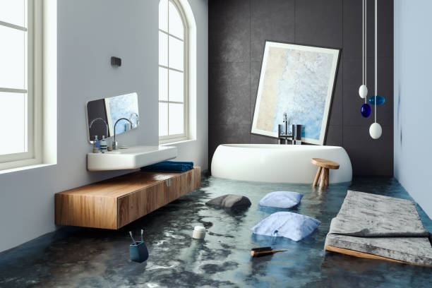 Best Mold removal after water damage  in Shiner, TX