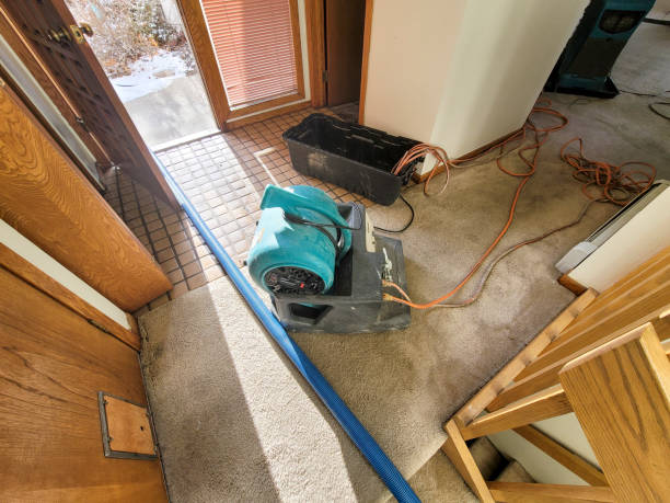 Best Water damage restoration near me  in Shiner, TX