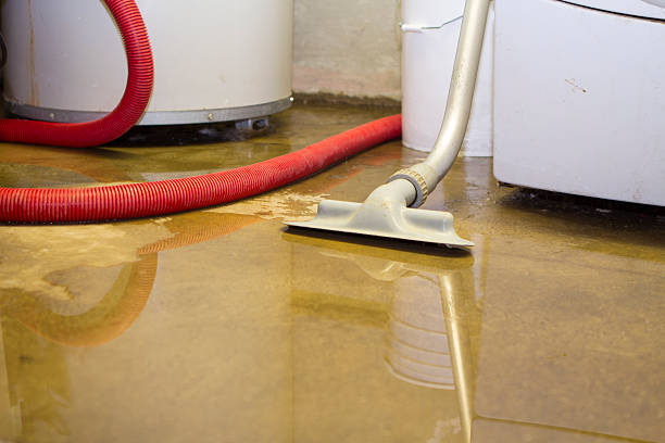 Best Water damage contractors near me  in Shiner, TX