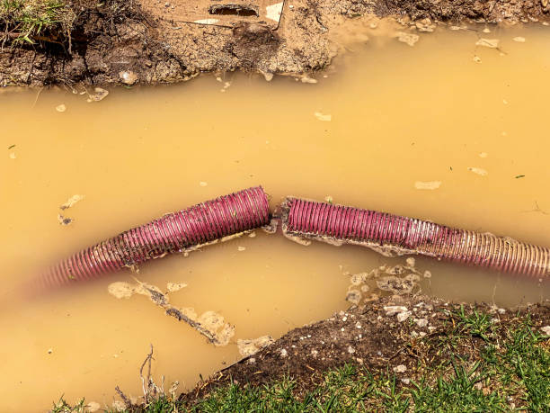 Best Water damage restoration process  in Shiner, TX