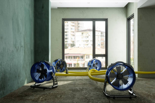 Best Flood restoration services  in Shiner, TX