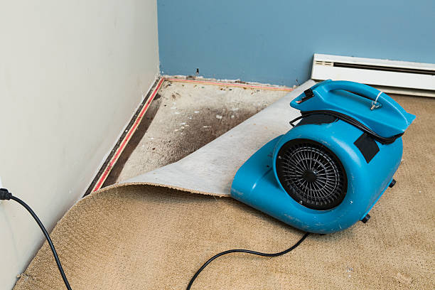 Best Flood damage cleanup  in Shiner, TX